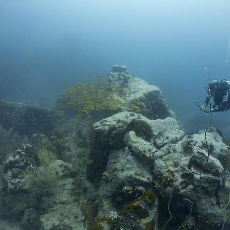 Divers House Ko Tao Zewnętrze zdjęcie