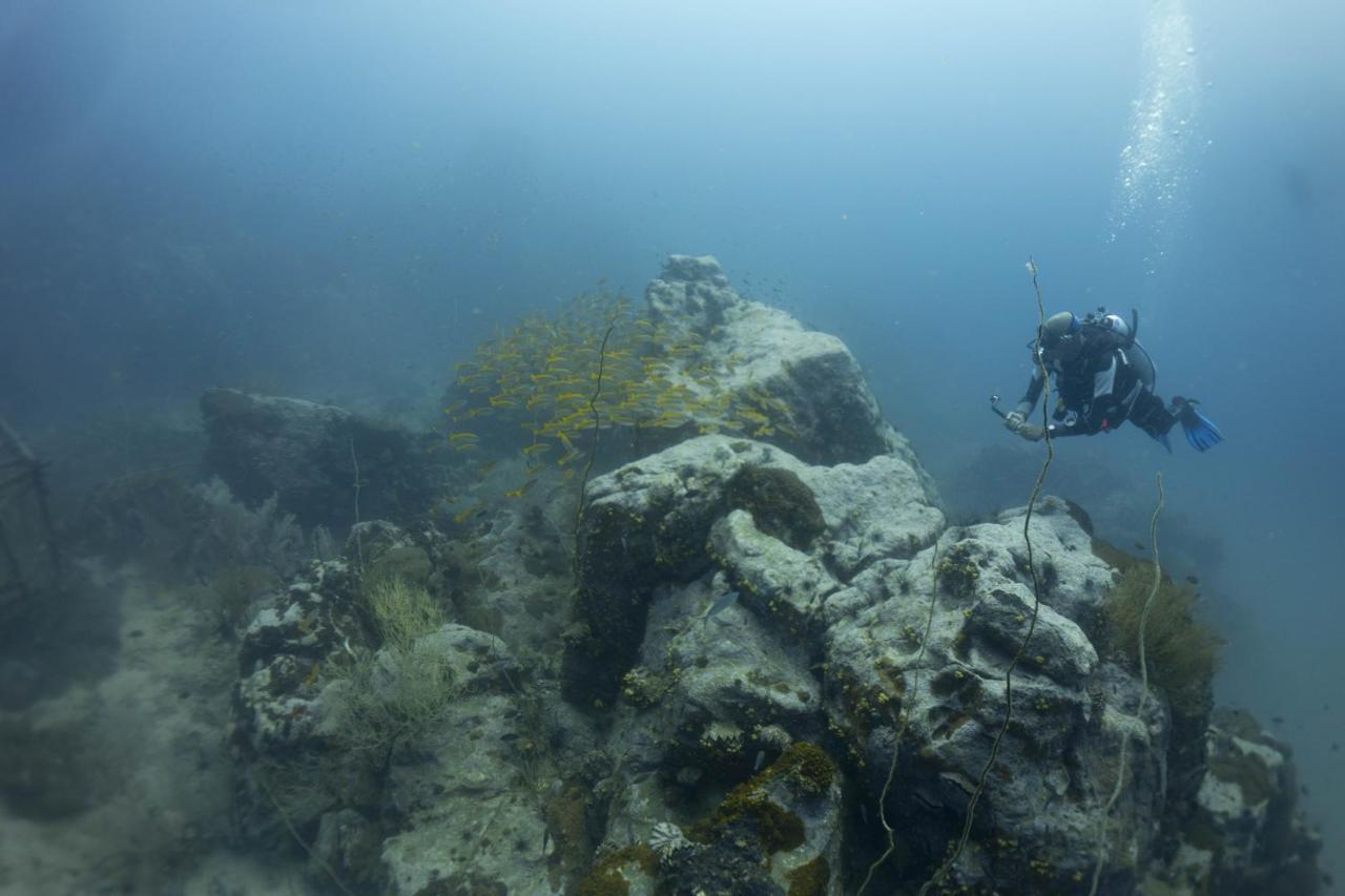 Divers House Ko Tao Zewnętrze zdjęcie